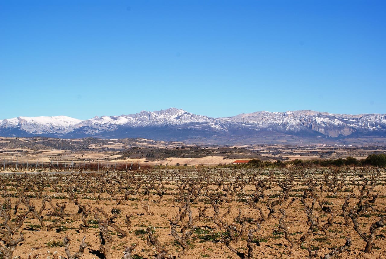 Compra Venta de Empresas en Logroño